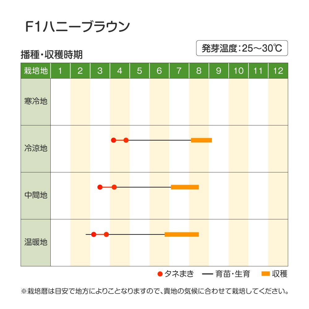 ハニーブラウン・作型