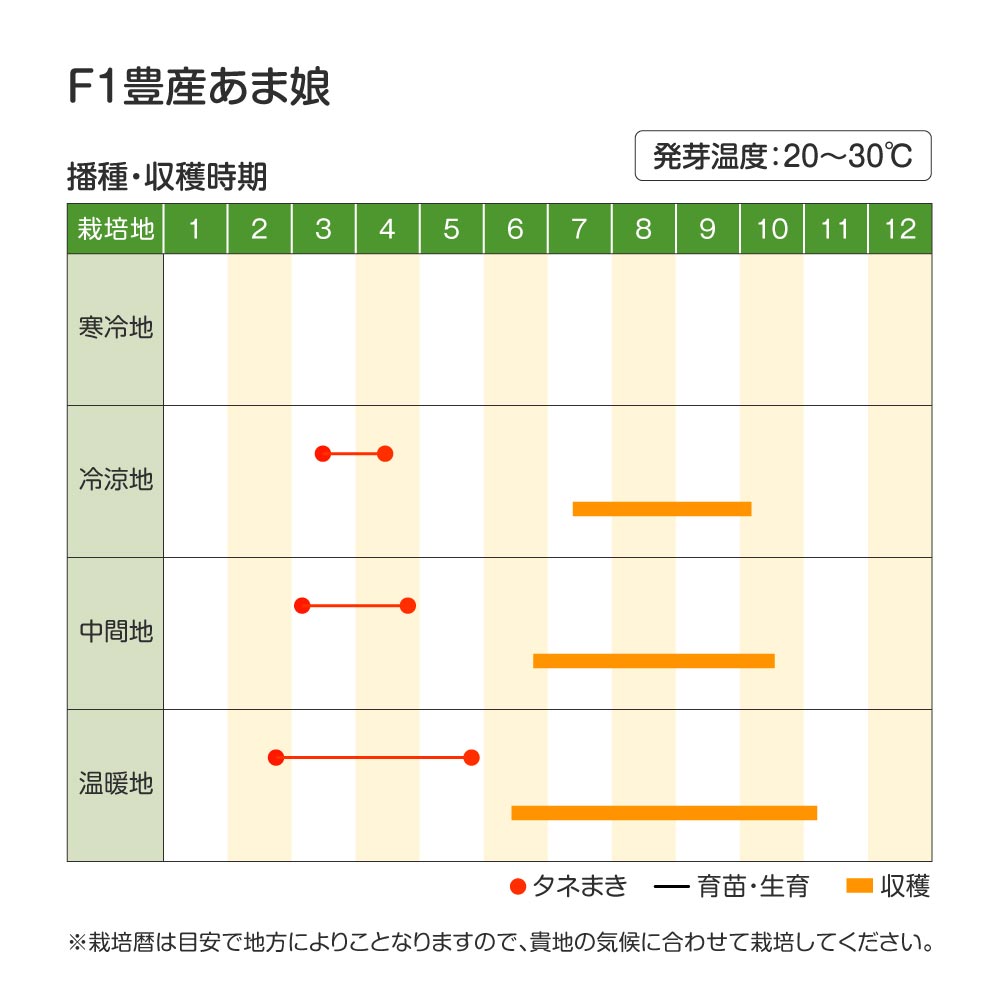 豊産あま娘・作型