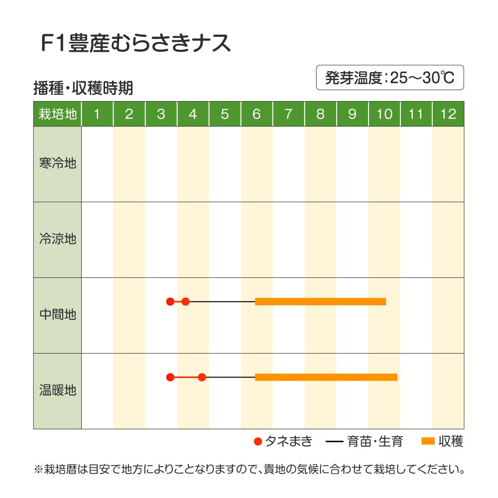 豊産むらさきナス・作型