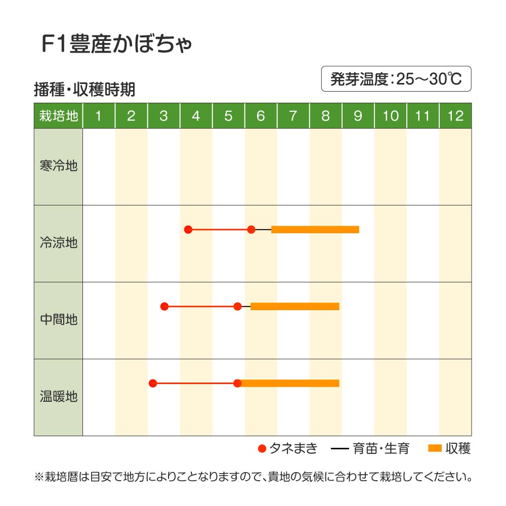 豊産かぼちゃ・作型