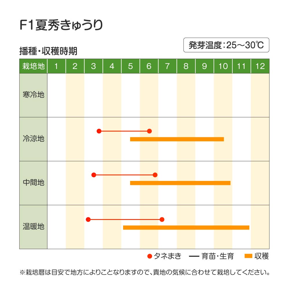 夏秀きゅうり・作型