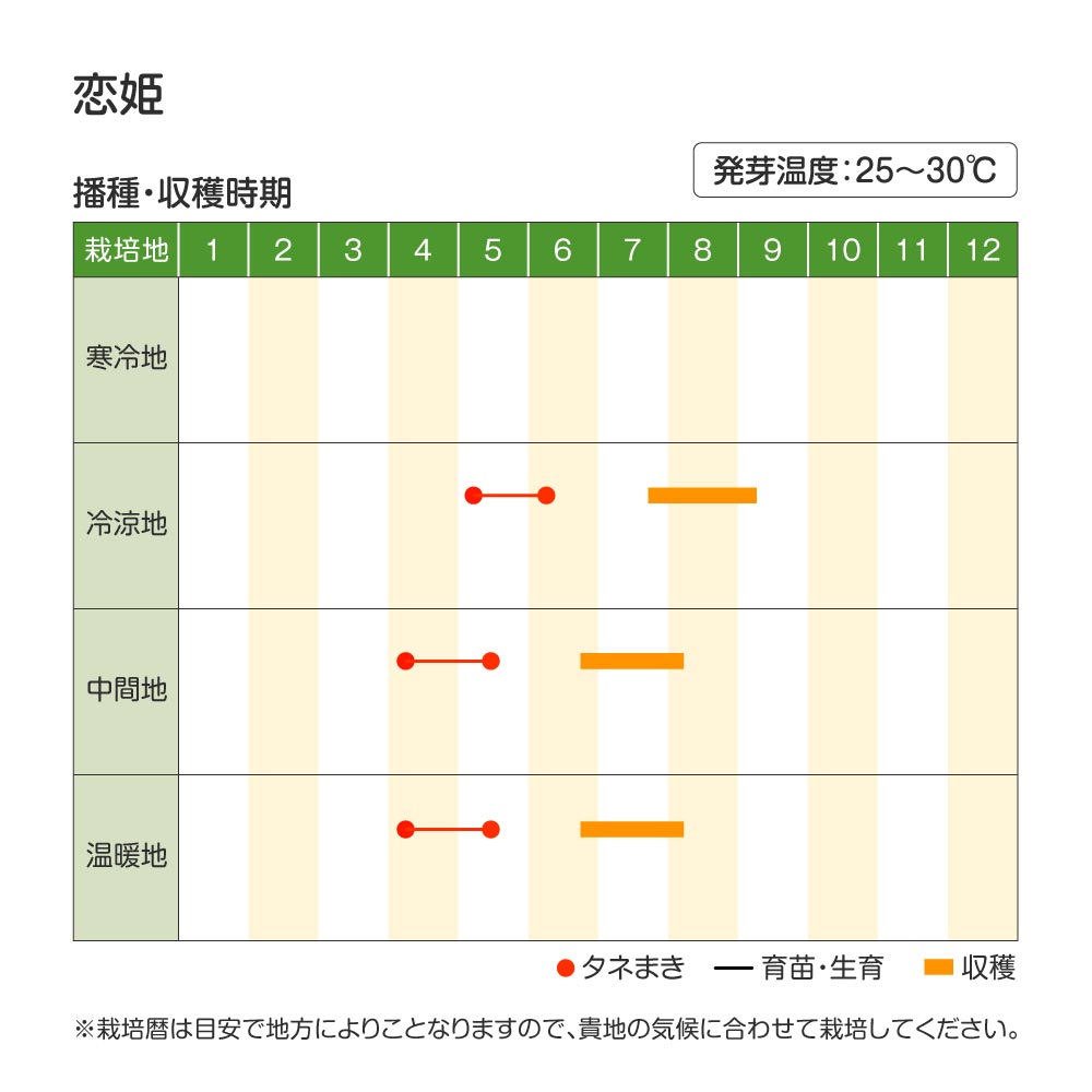 恋姫PVP・作型