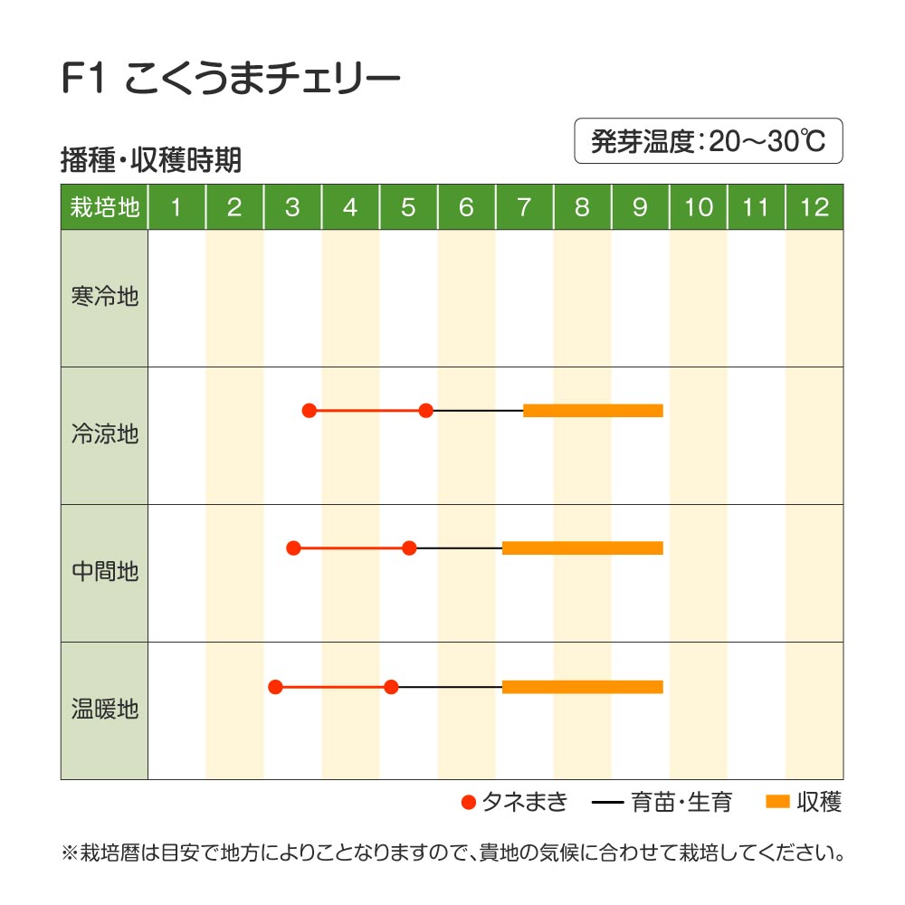 こくうまチェリー・作型