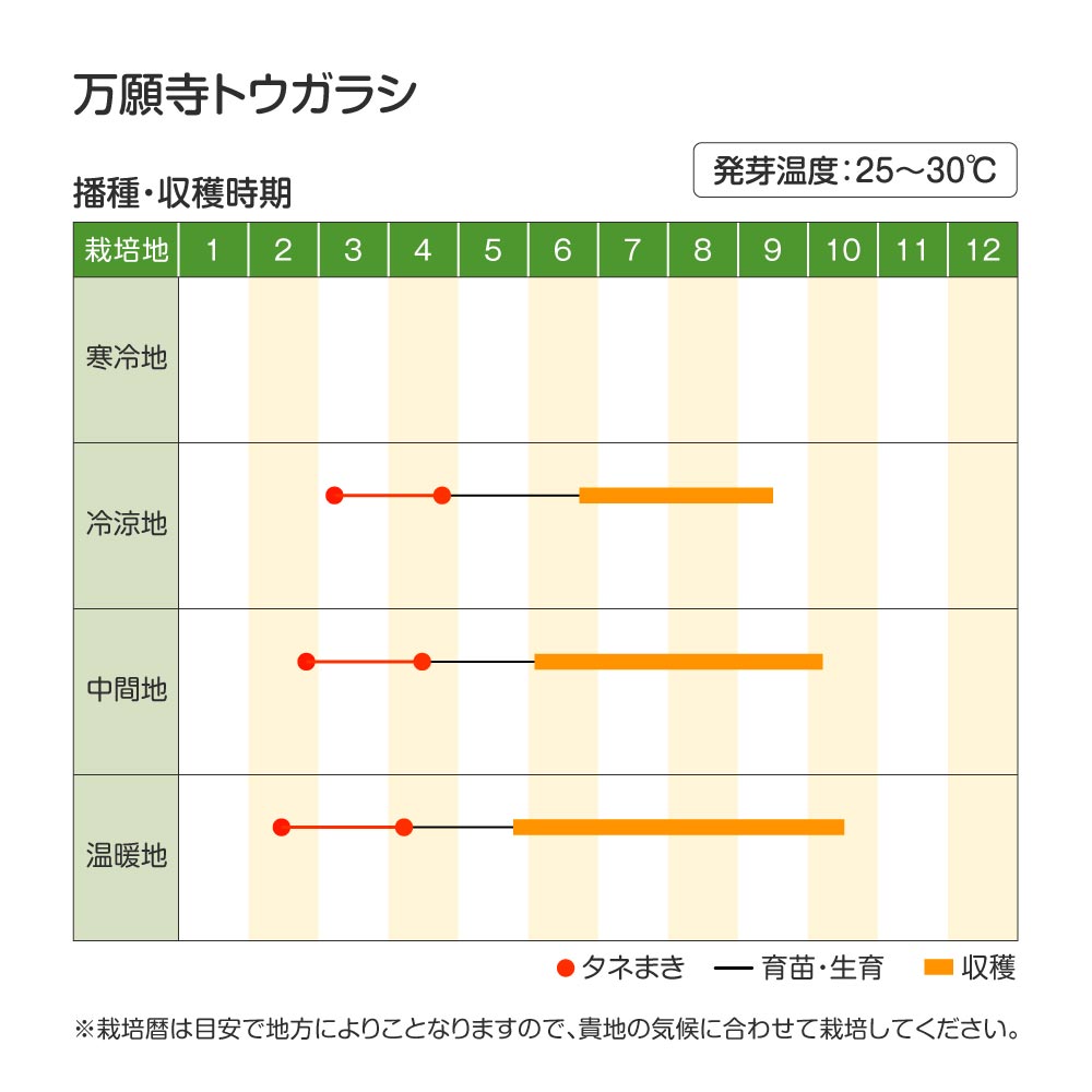 万願寺・作型