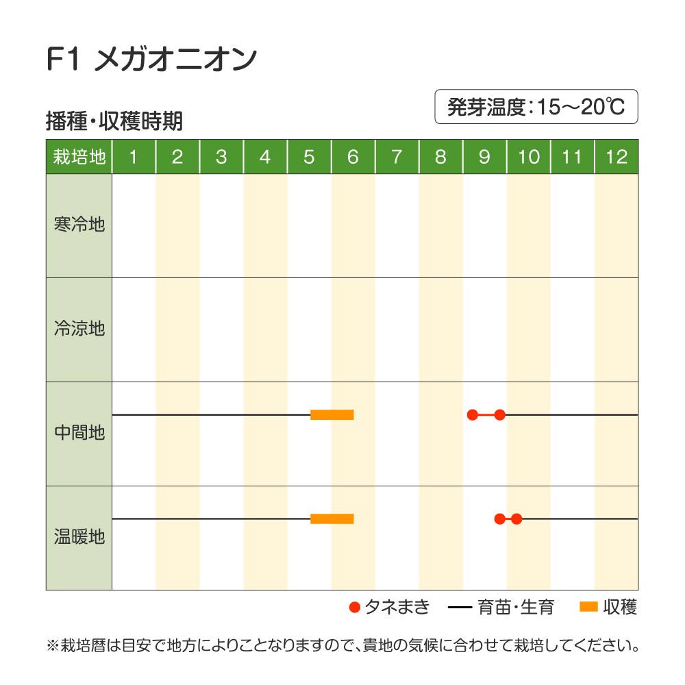 メガオニオン・作型