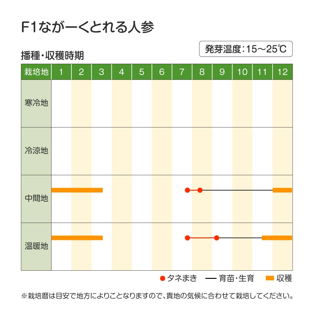 ながーくとれる人参・作型
