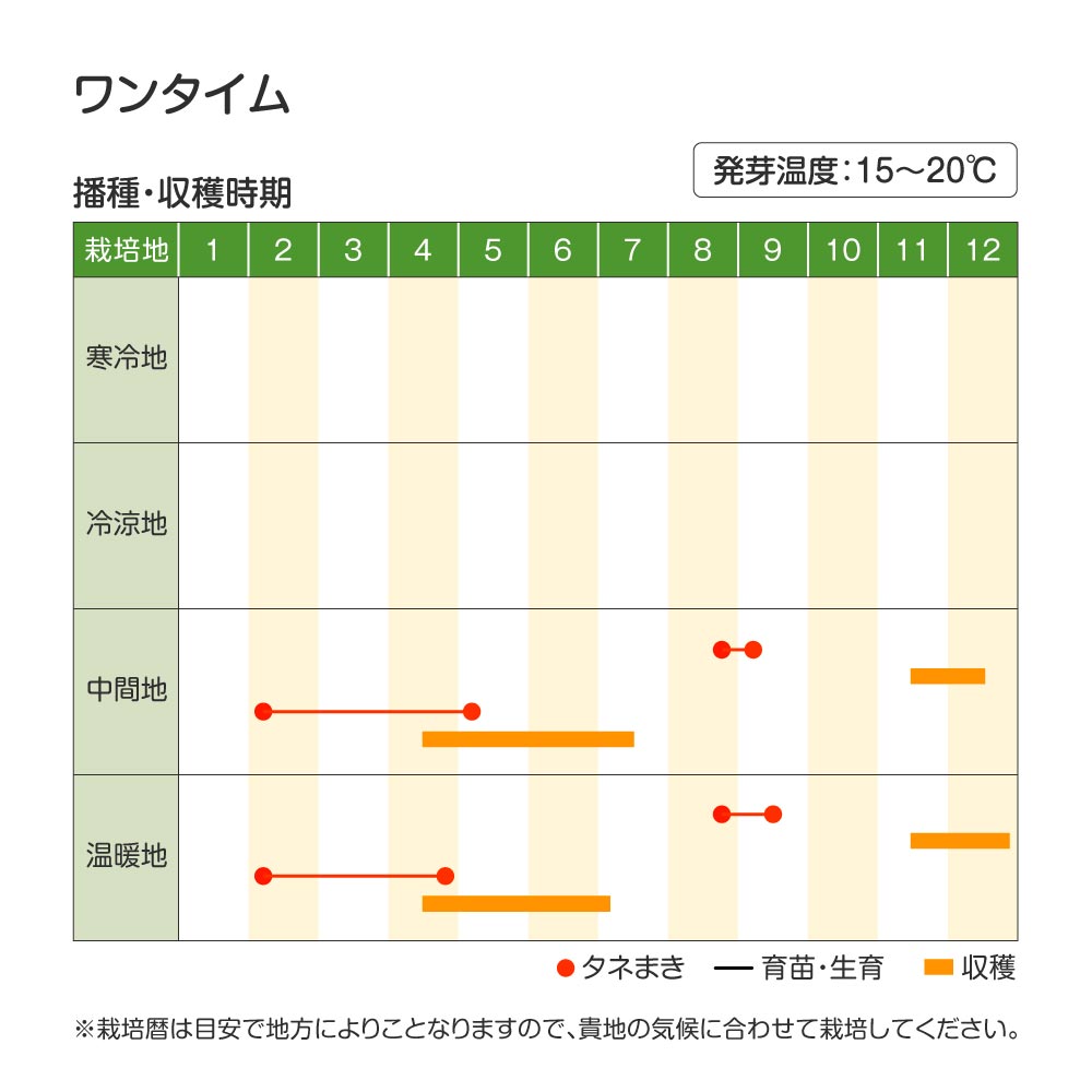 ワンタイムレタス・作型