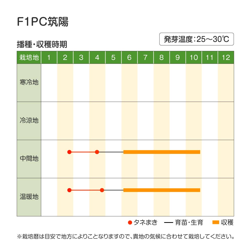 PC筑陽・作型