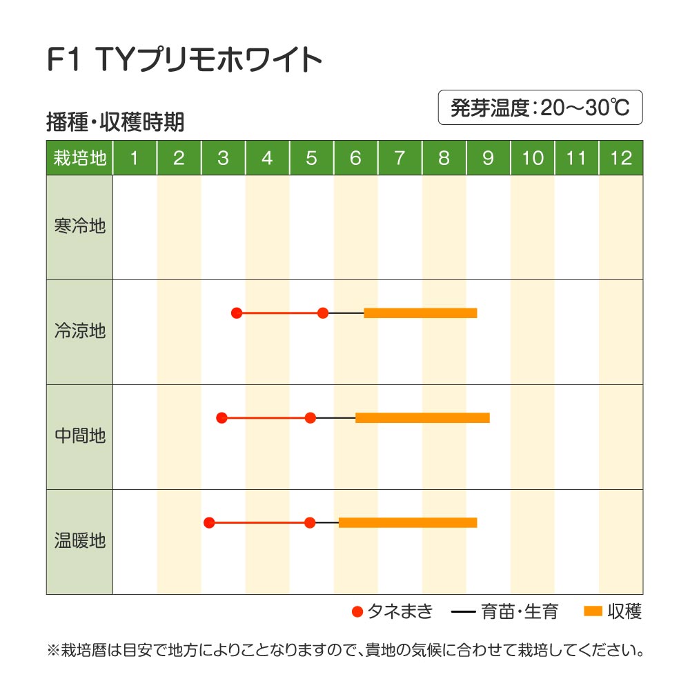 プリモホワイト・作型