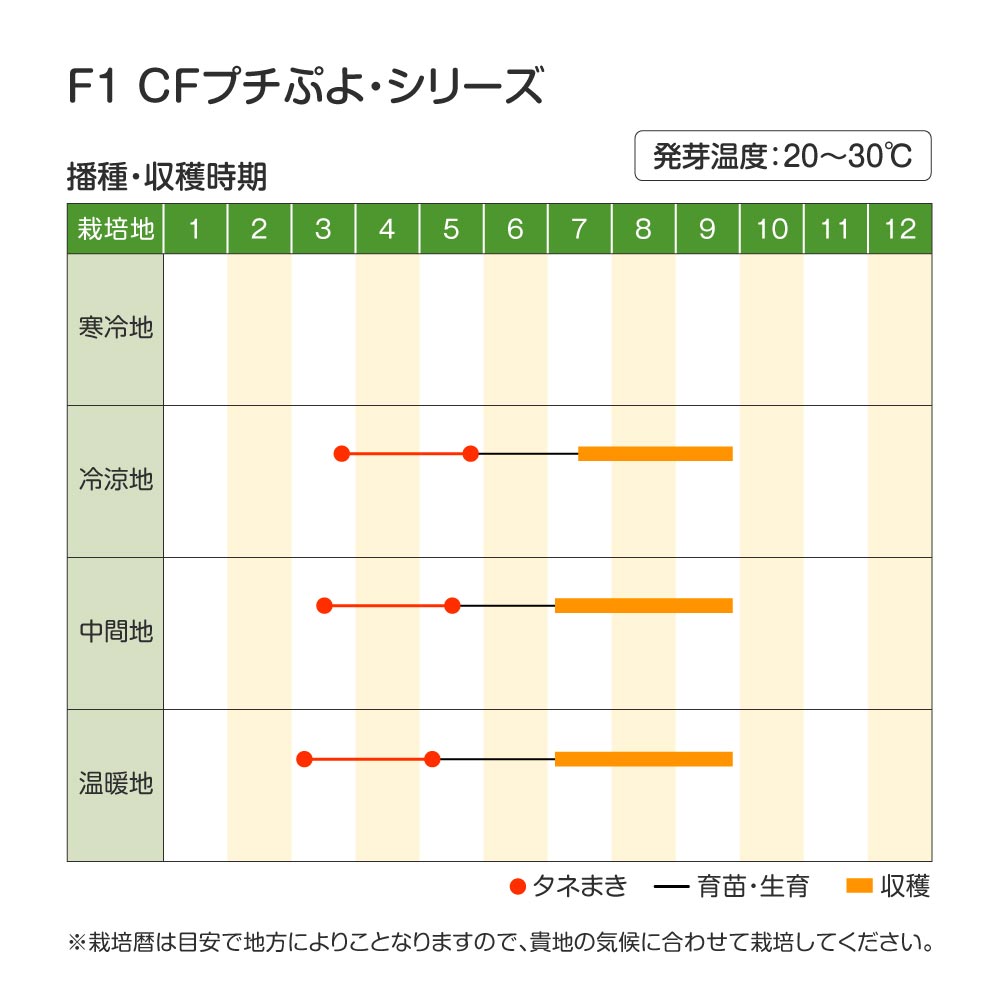 CFプチぷよ・作型