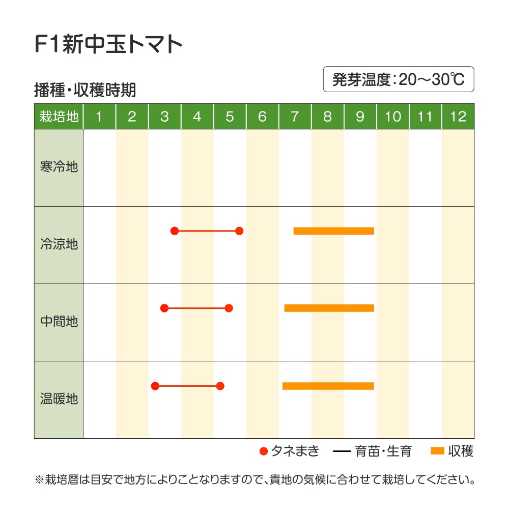 新中玉トマト・作型