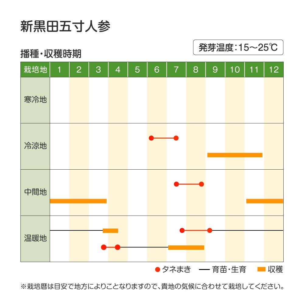 新黒田五寸・作型