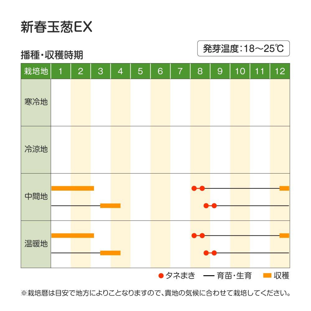 新春玉葱EX・作型
