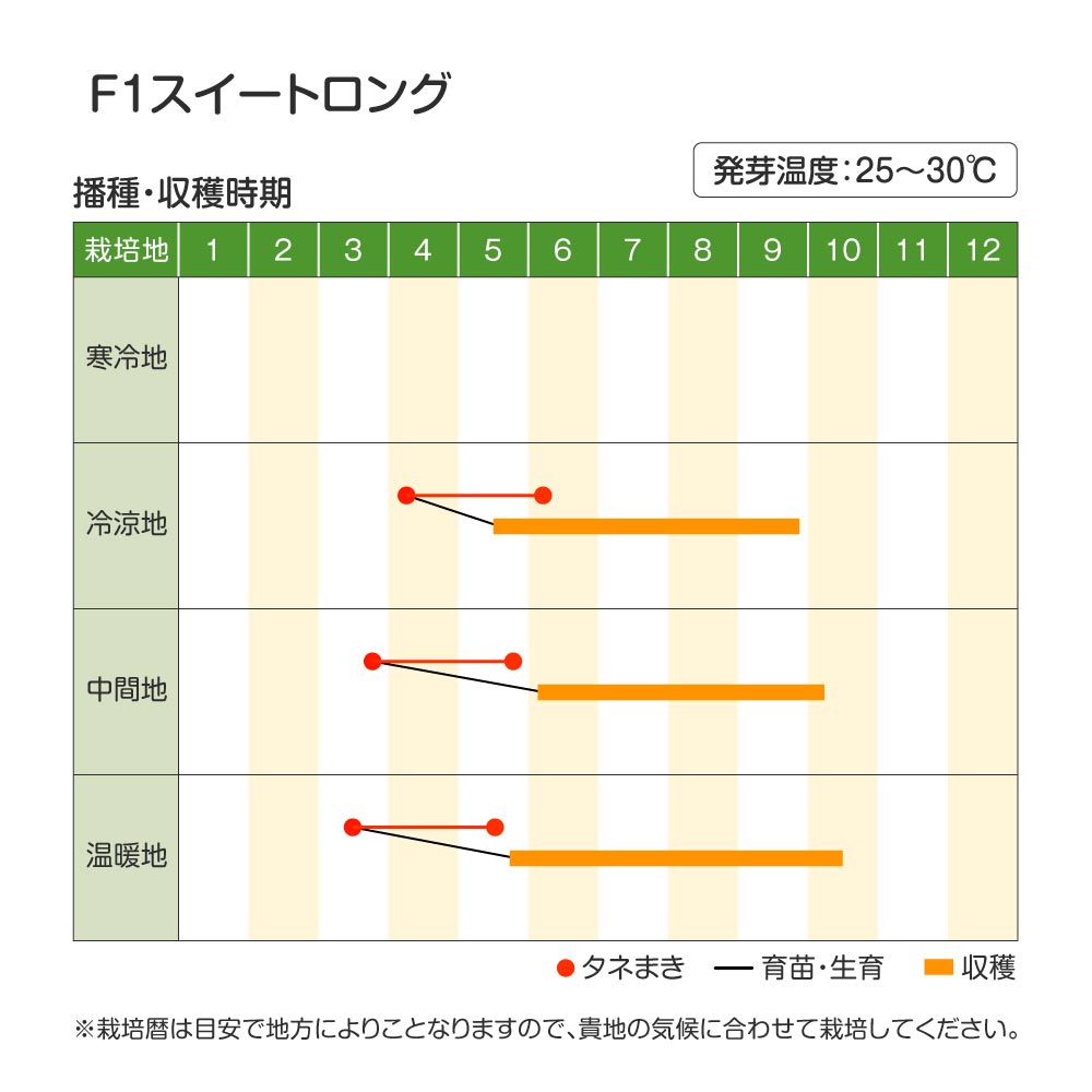 スイートロング・作型