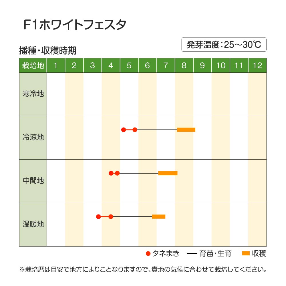 ホワイトフェスタ・作型