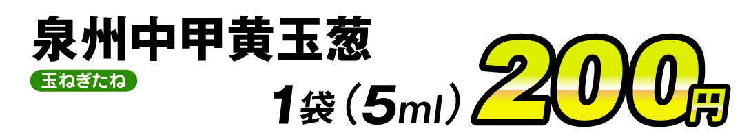 泉州中甲黄玉葱・価格