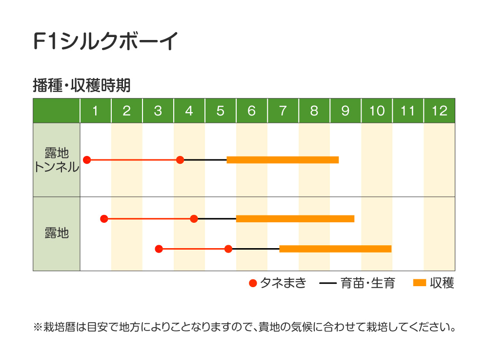 シルクボーイ・作型