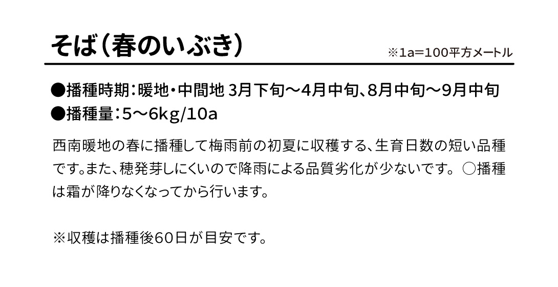 春のいぶき・紹介