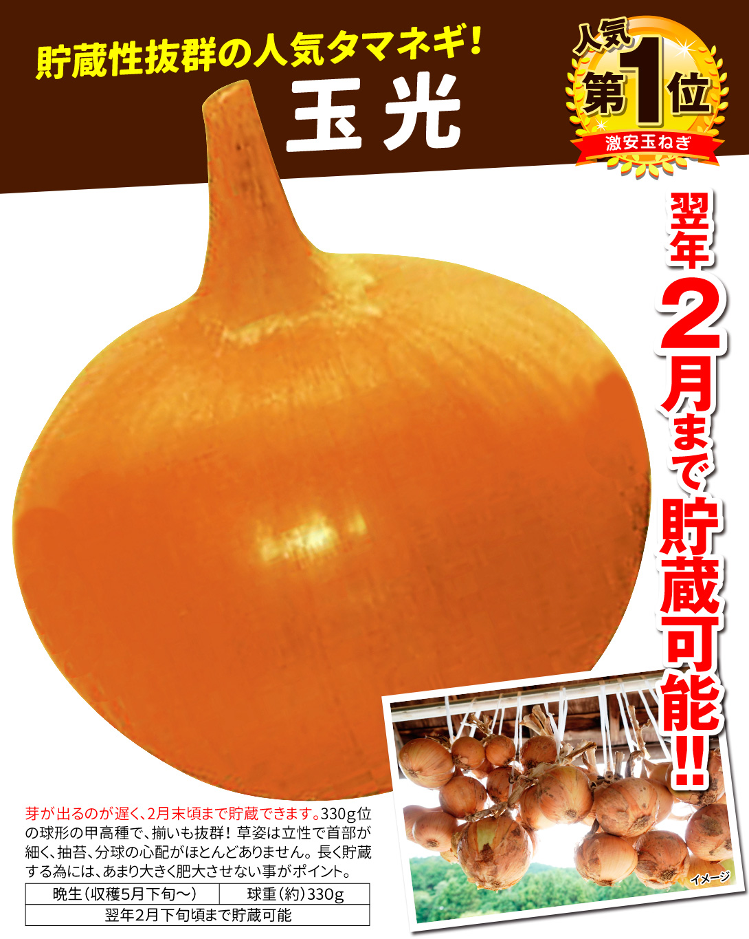 玉光・メイン