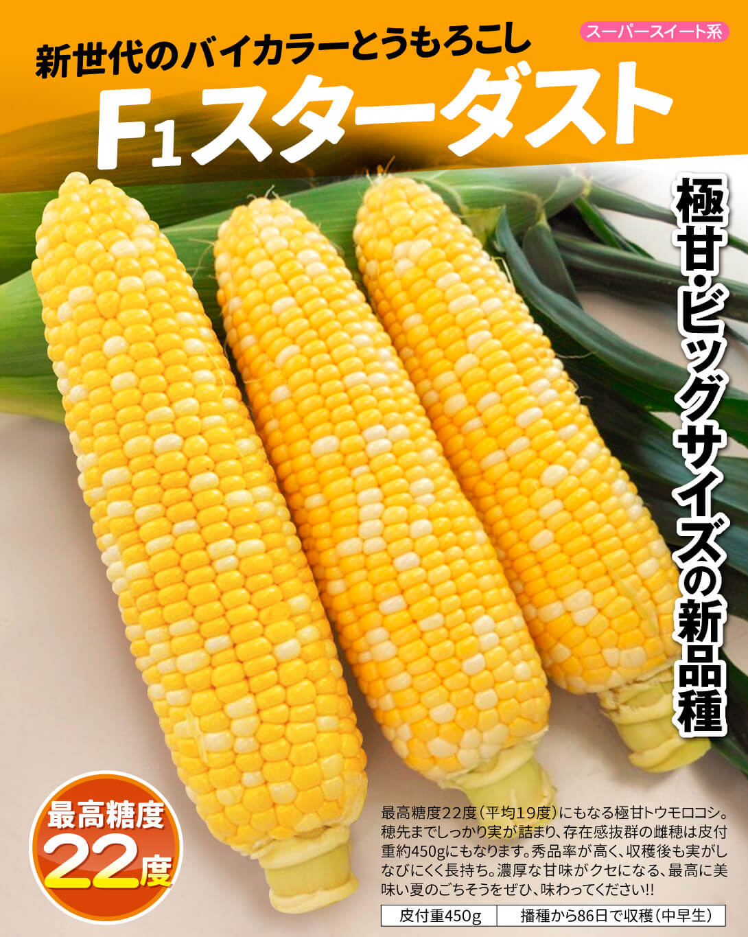 スターダスト・メイン