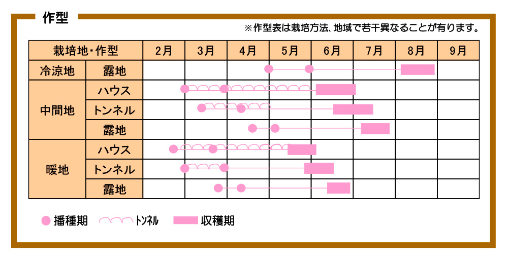 スターダスト・作型