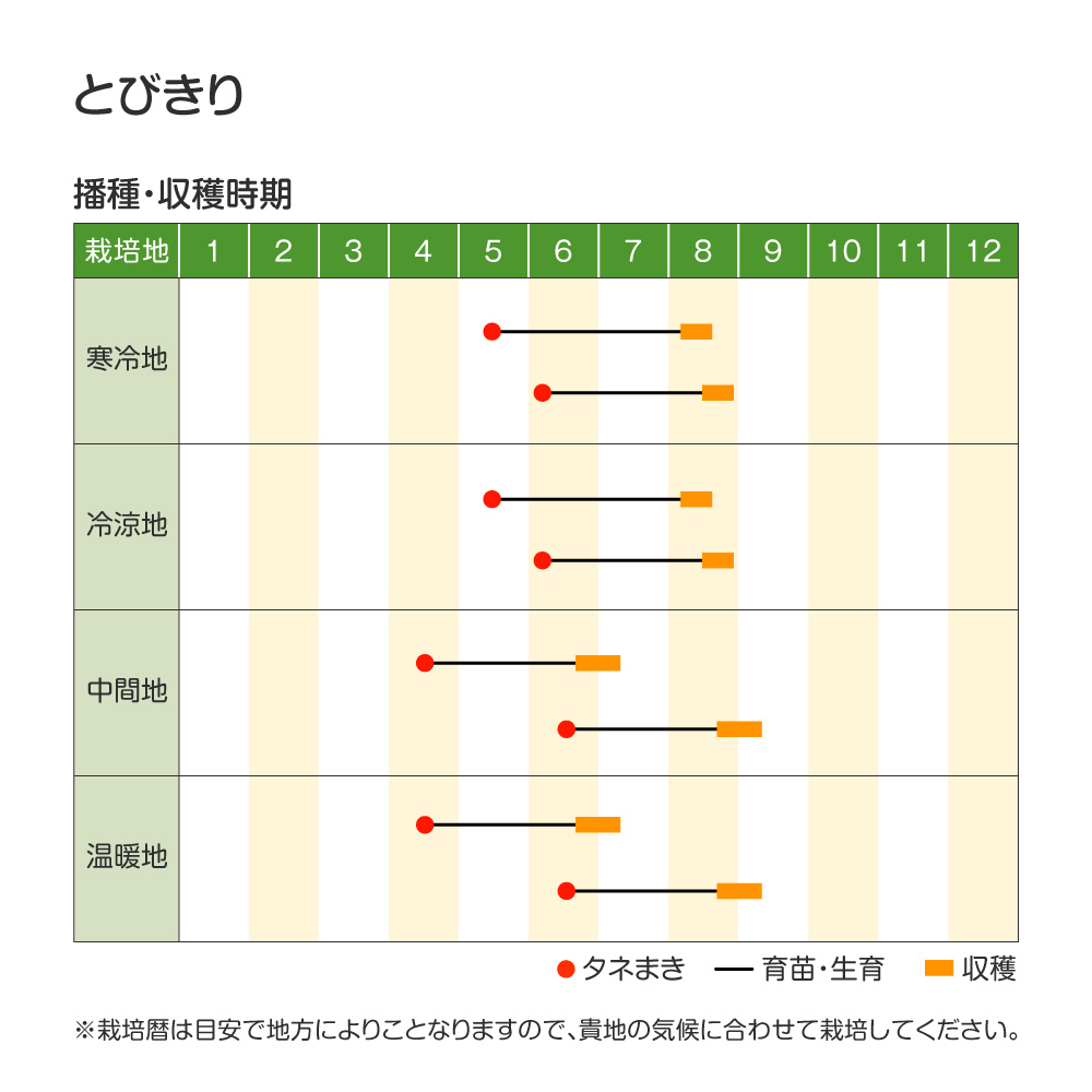 とびきりPVP・作型