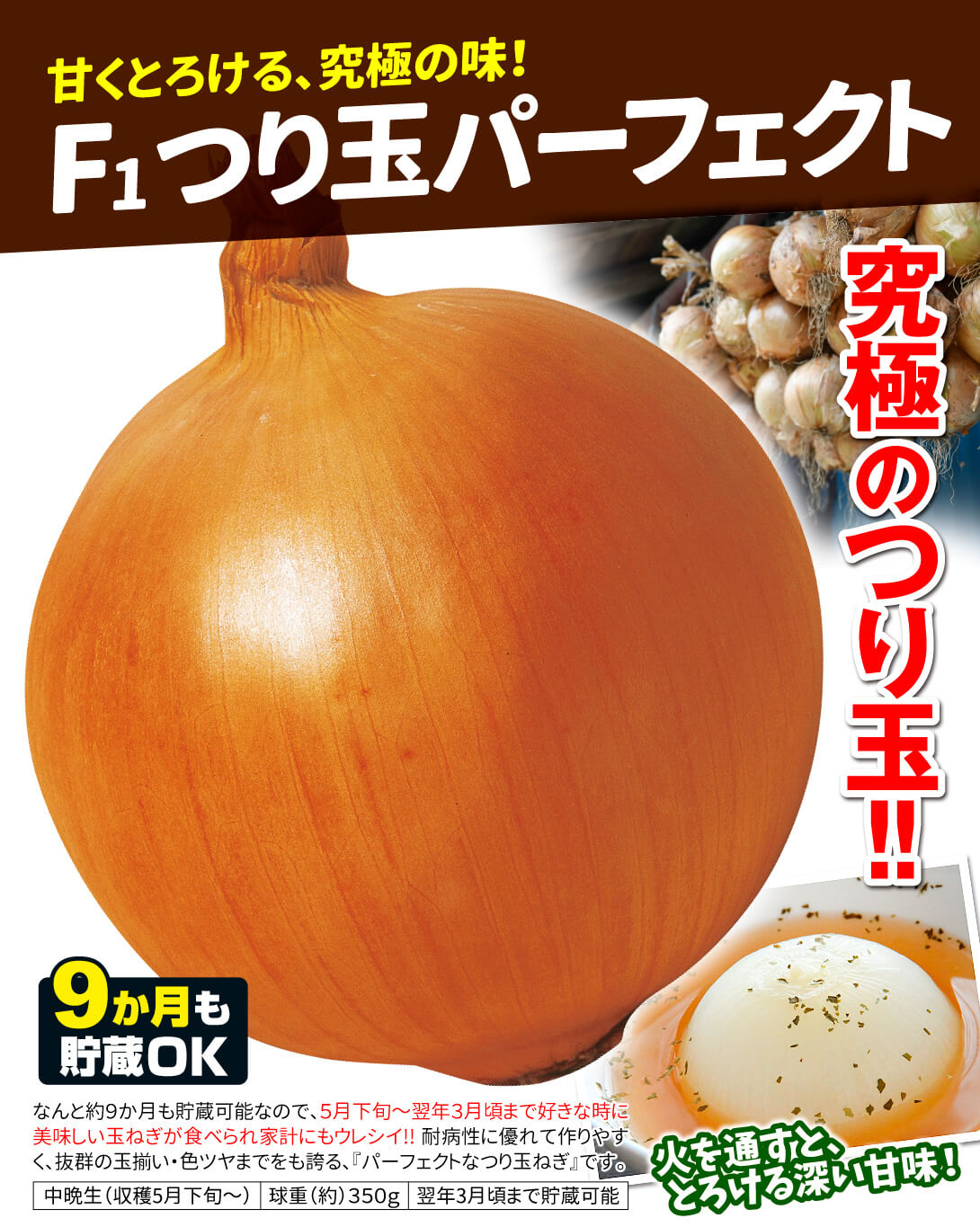 つり玉パーフェクト・メイン
