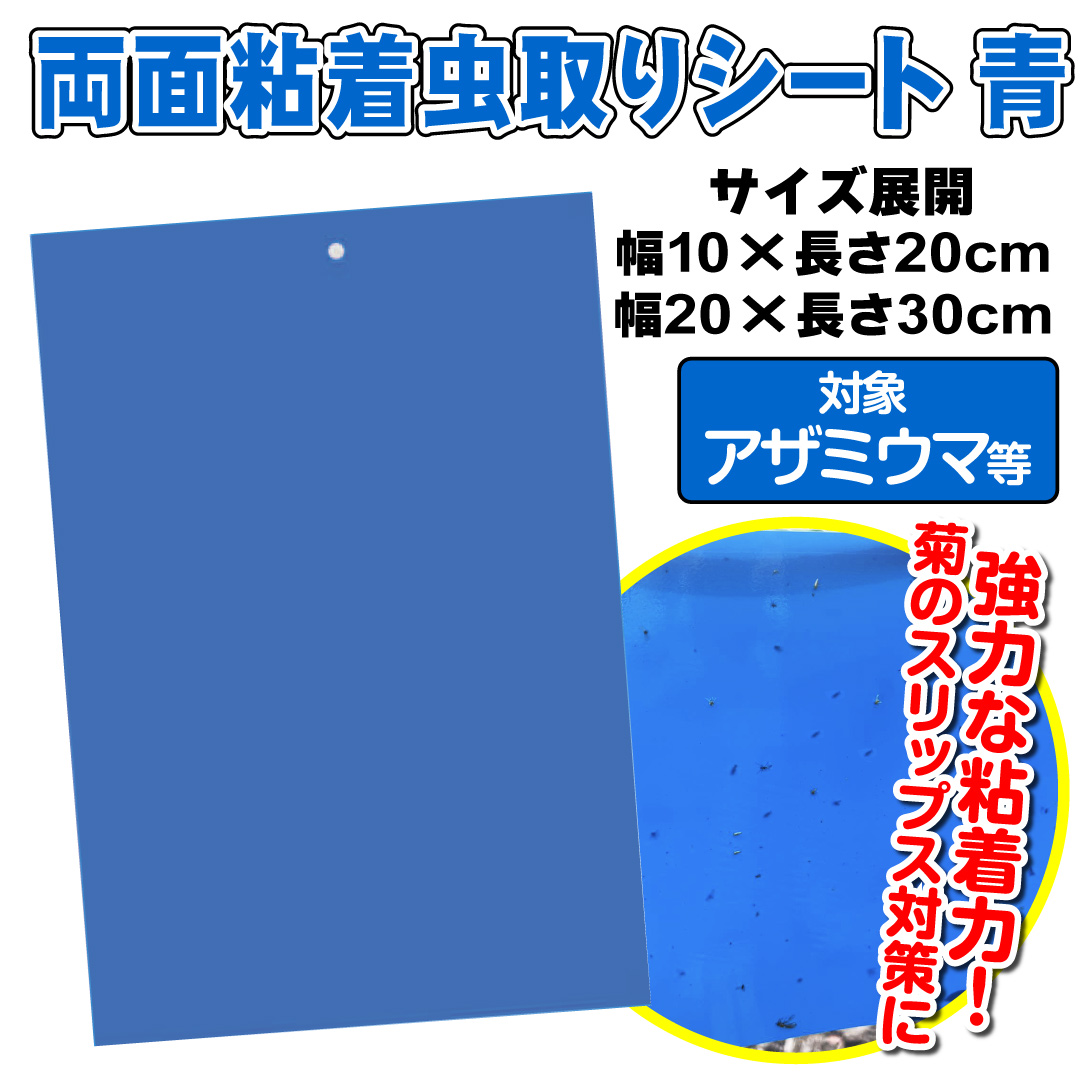 青 トップ