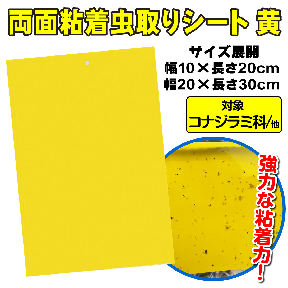 黄 トップ