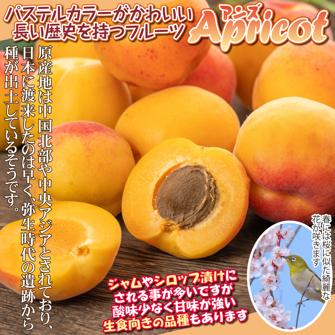 アンズ