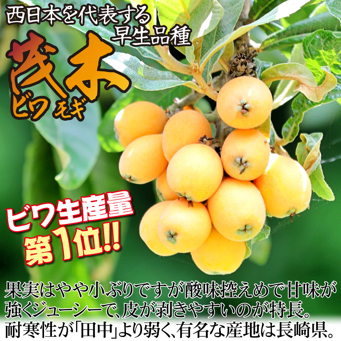 茂木