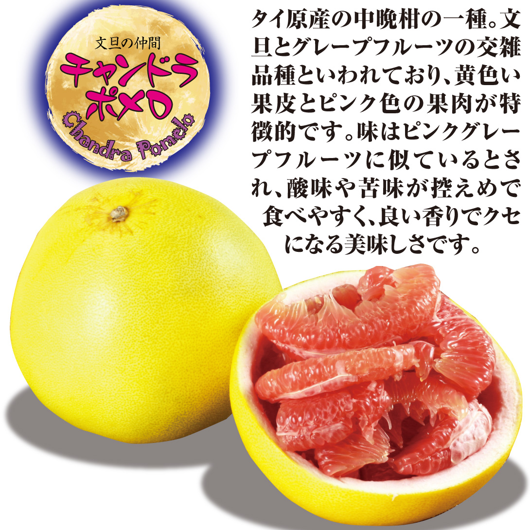 チャンドラポメロ