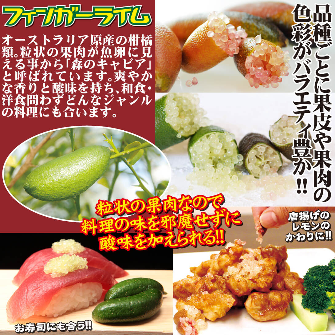 フィンガーライム