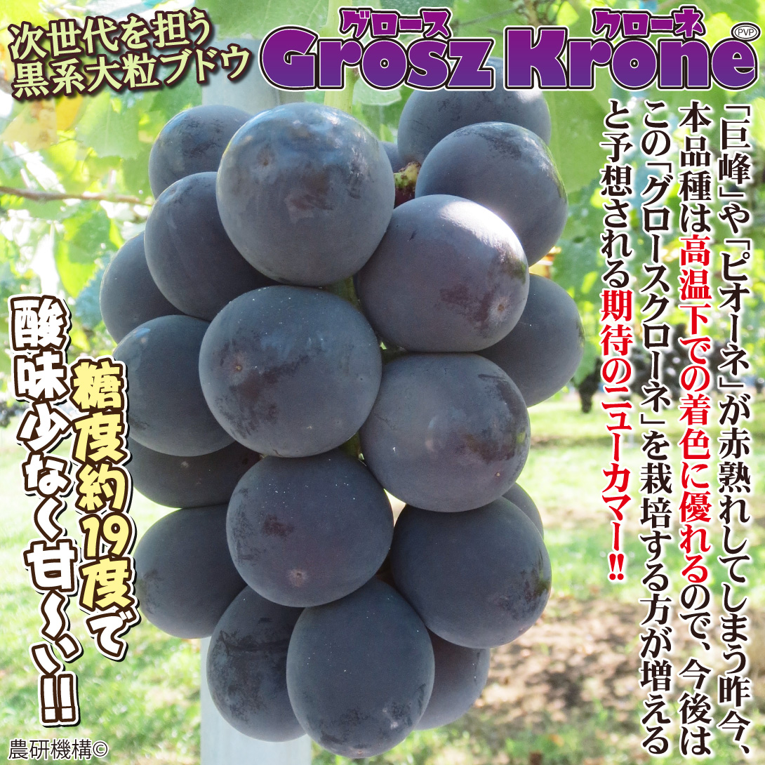 グロースクローネ