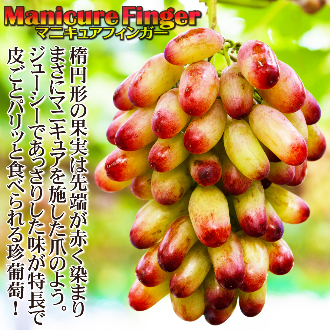 マニキュアフィンガー