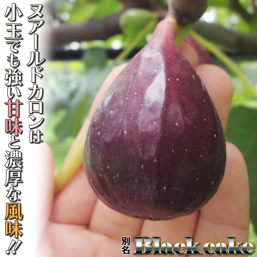 ヌアールドカロン