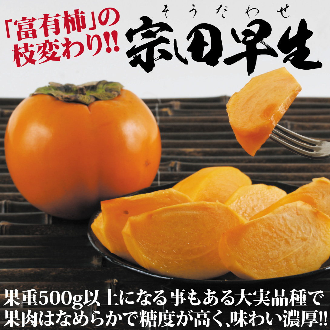 宗田早生