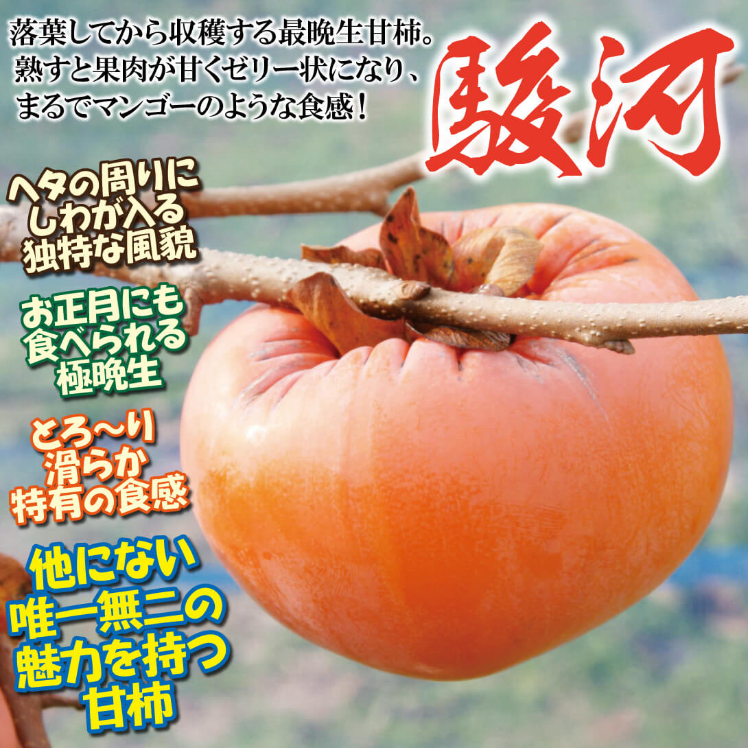 駿河