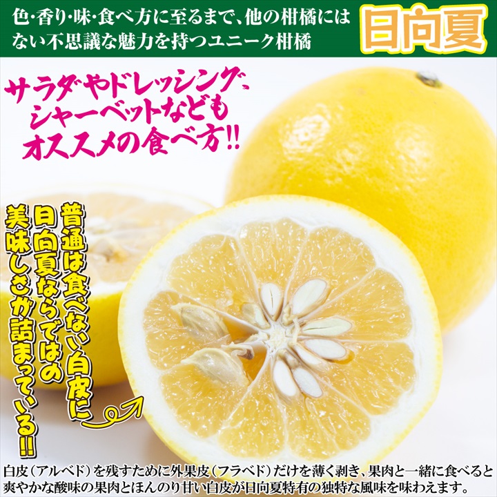日向夏