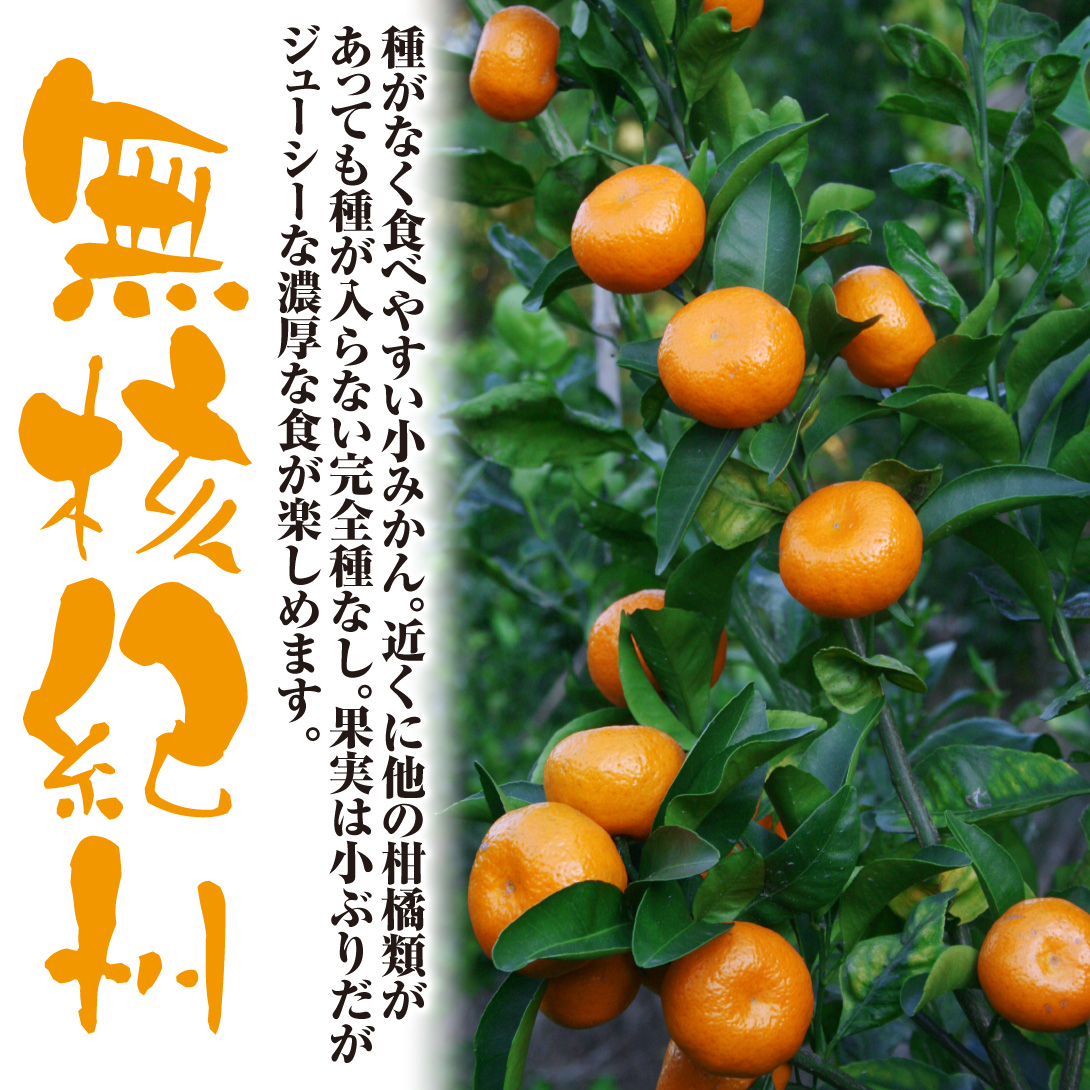 無核紀州