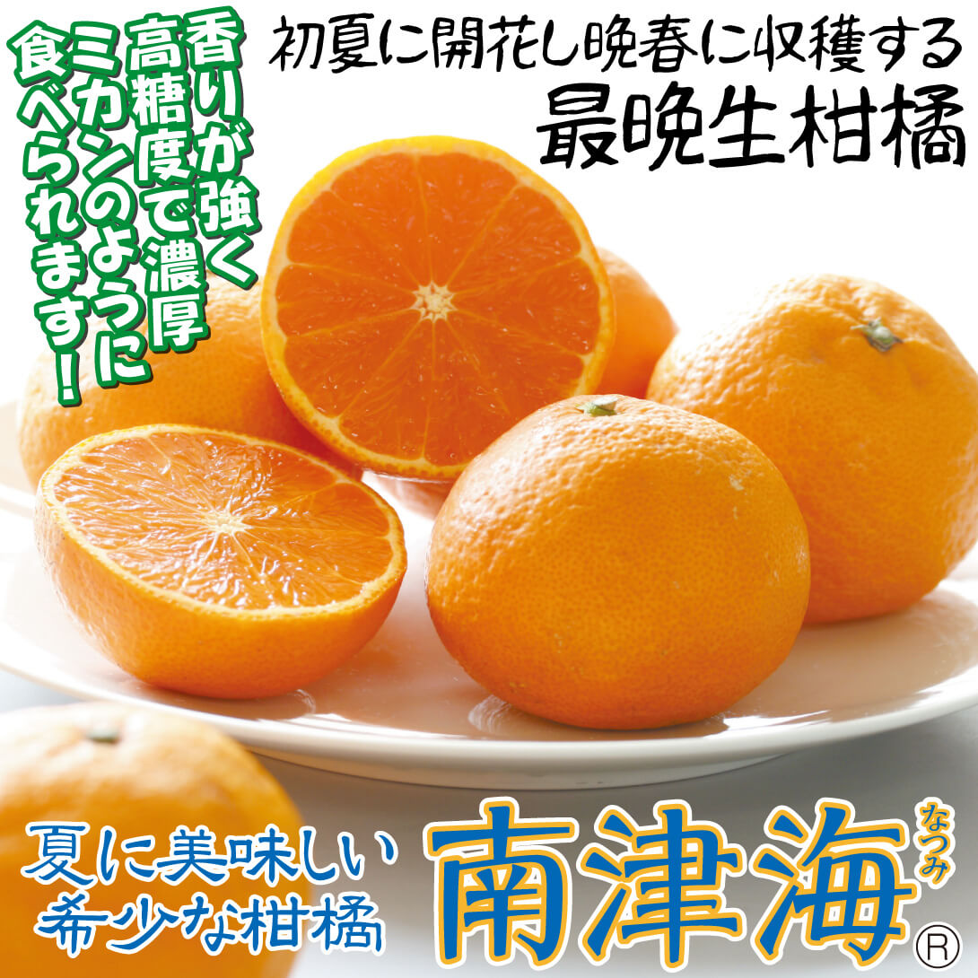 南津海