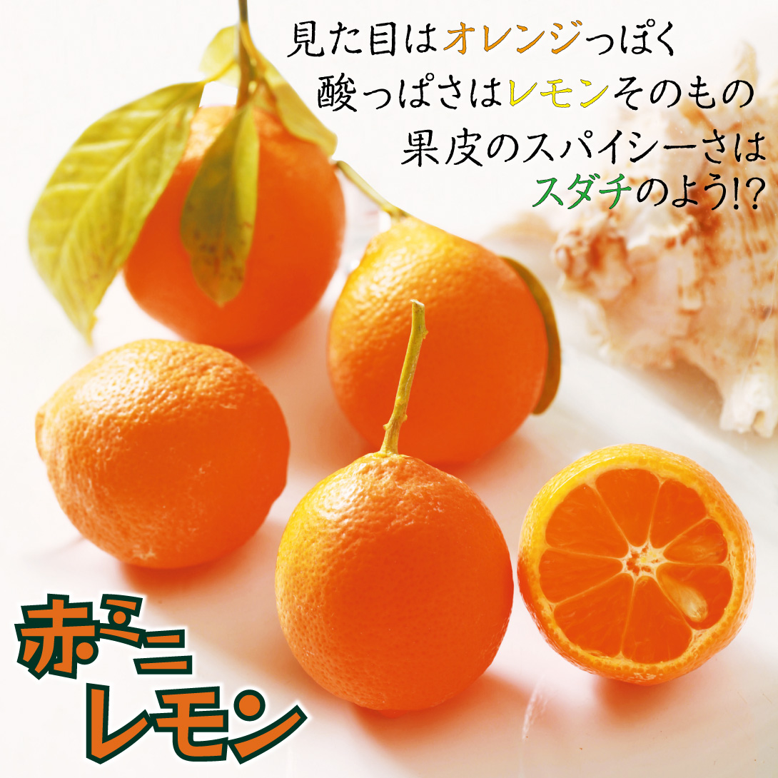 赤ミニレモン