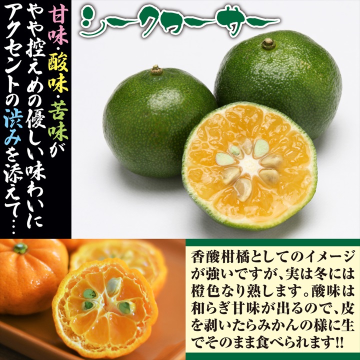 シークヮーサー