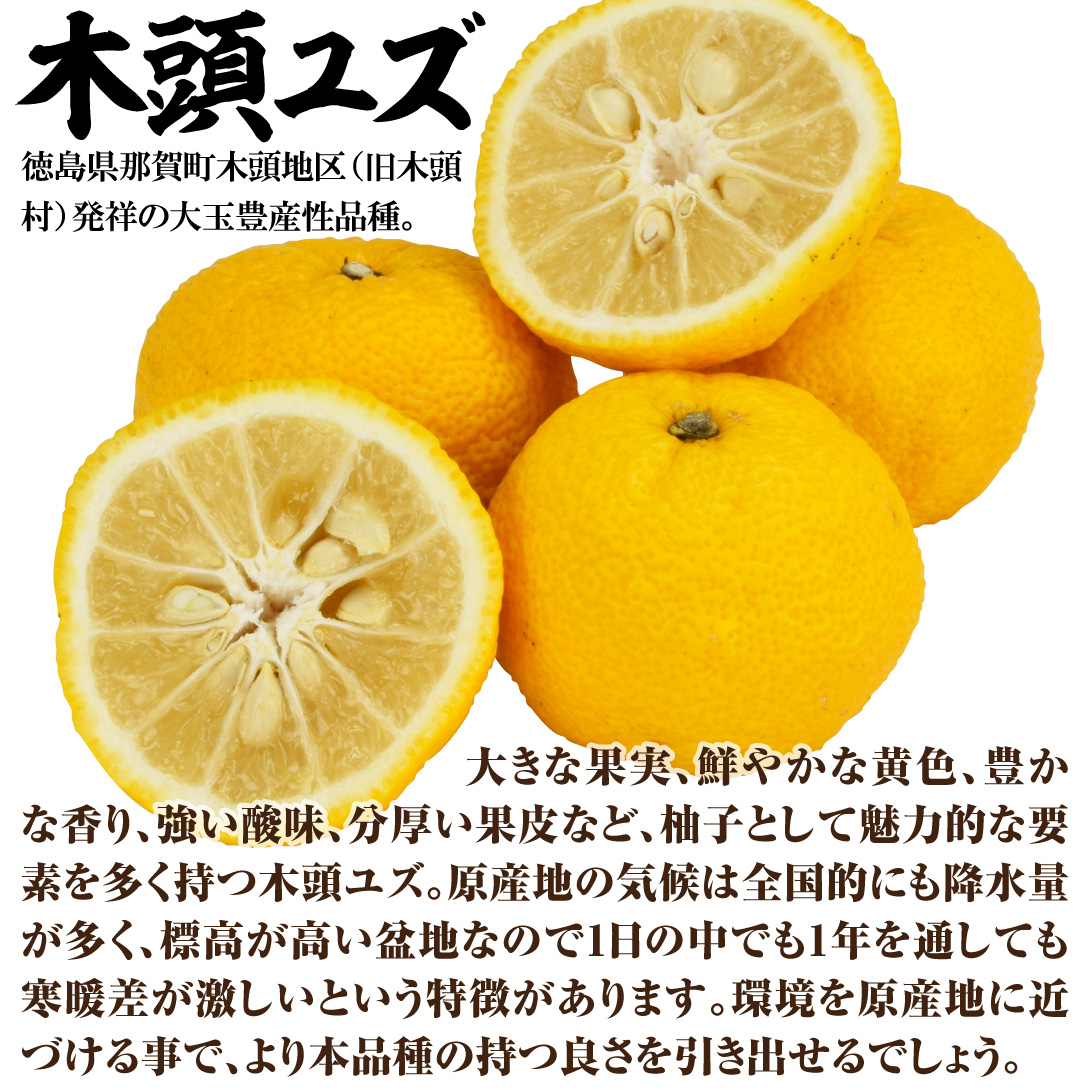 木頭ユズ