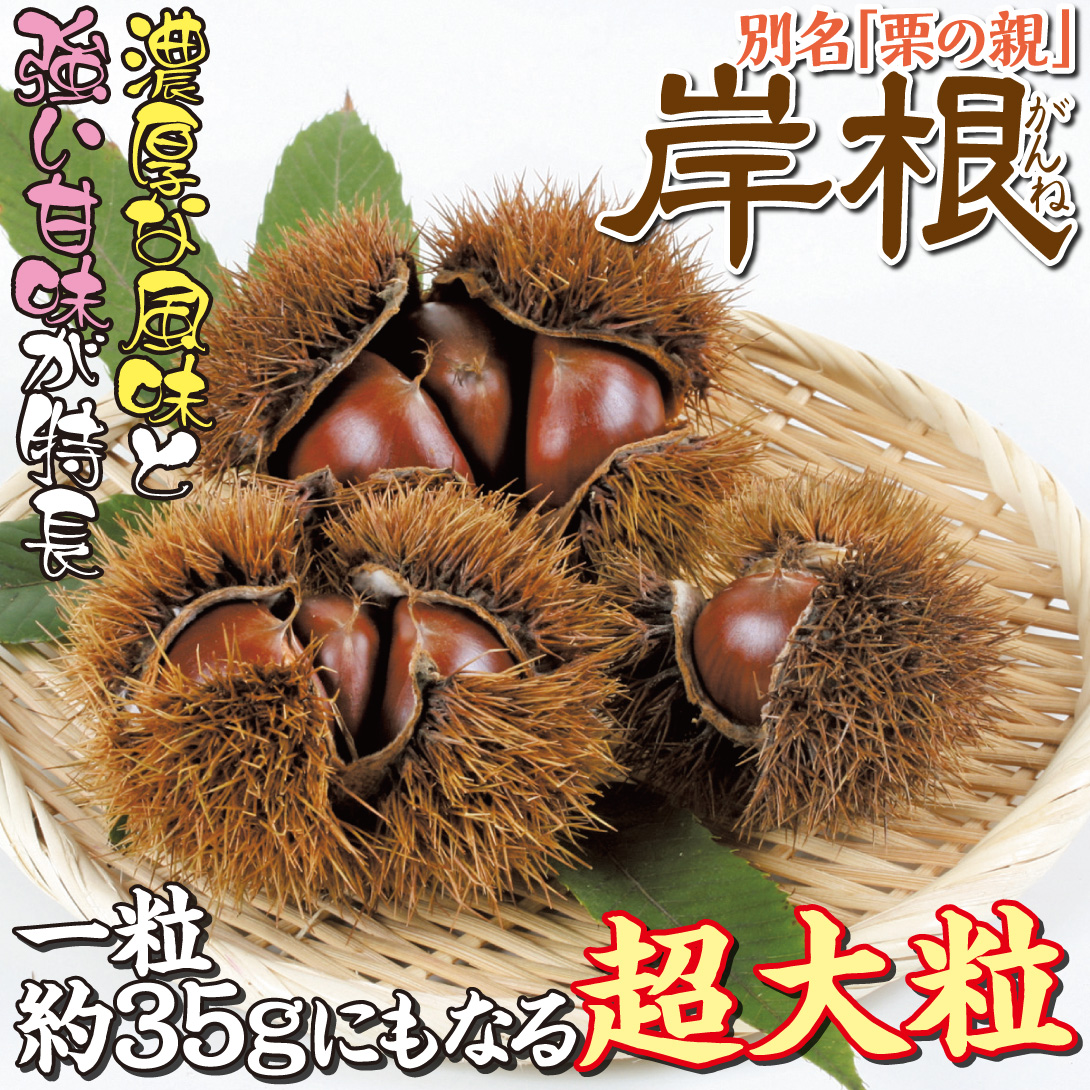岸根