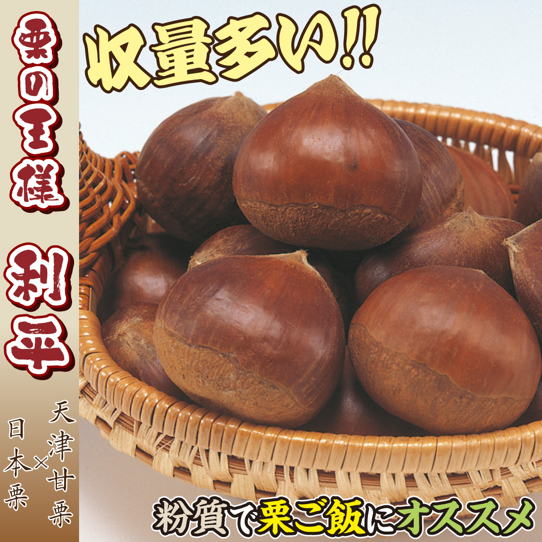 利平