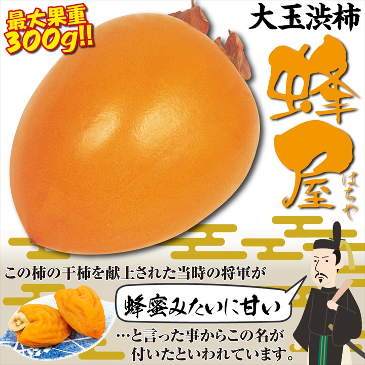 甘柿苗・蜂屋