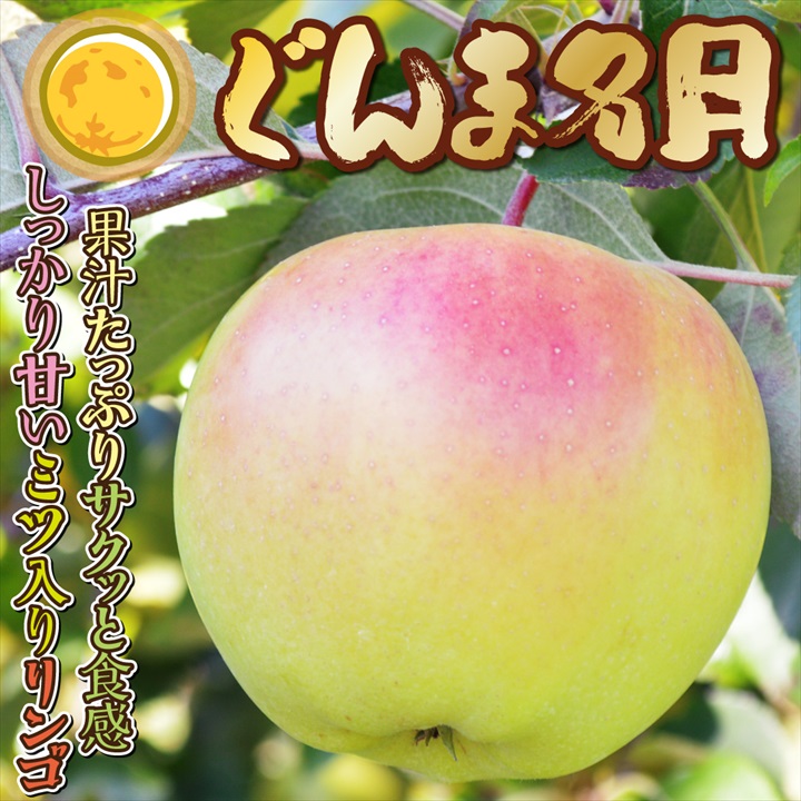 ぐんま名月1