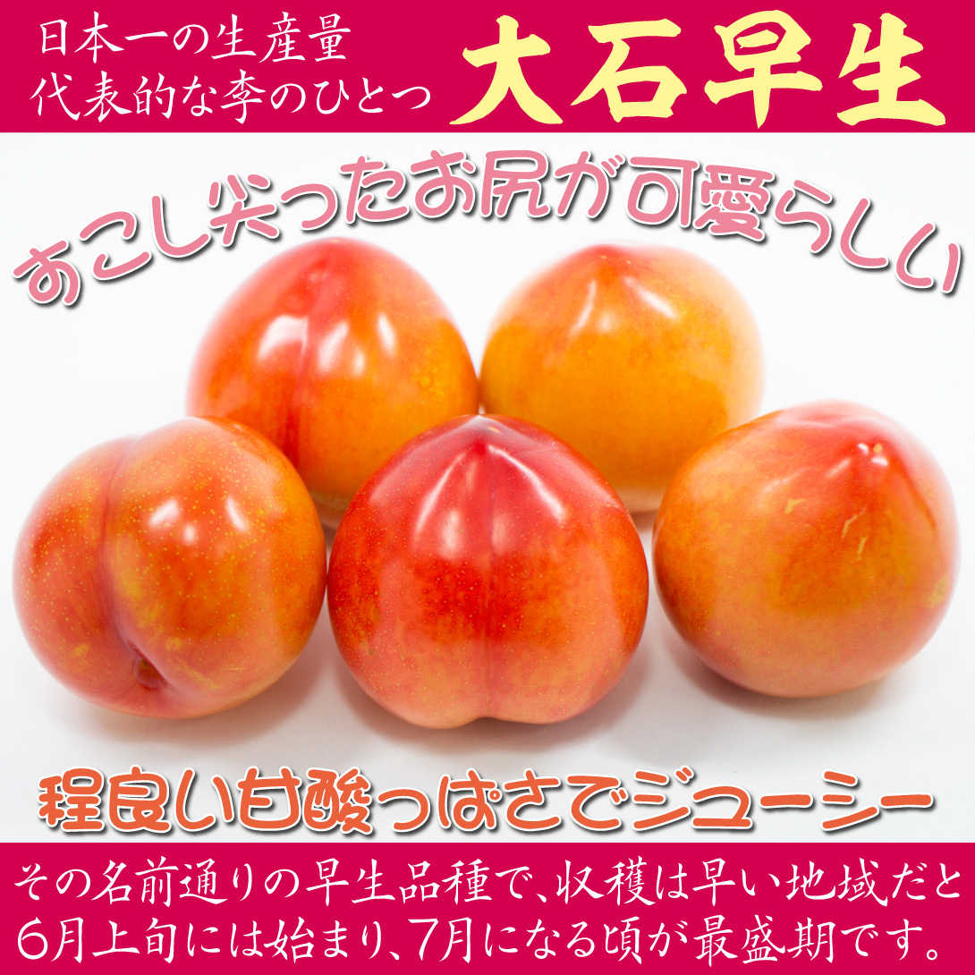 大石早生