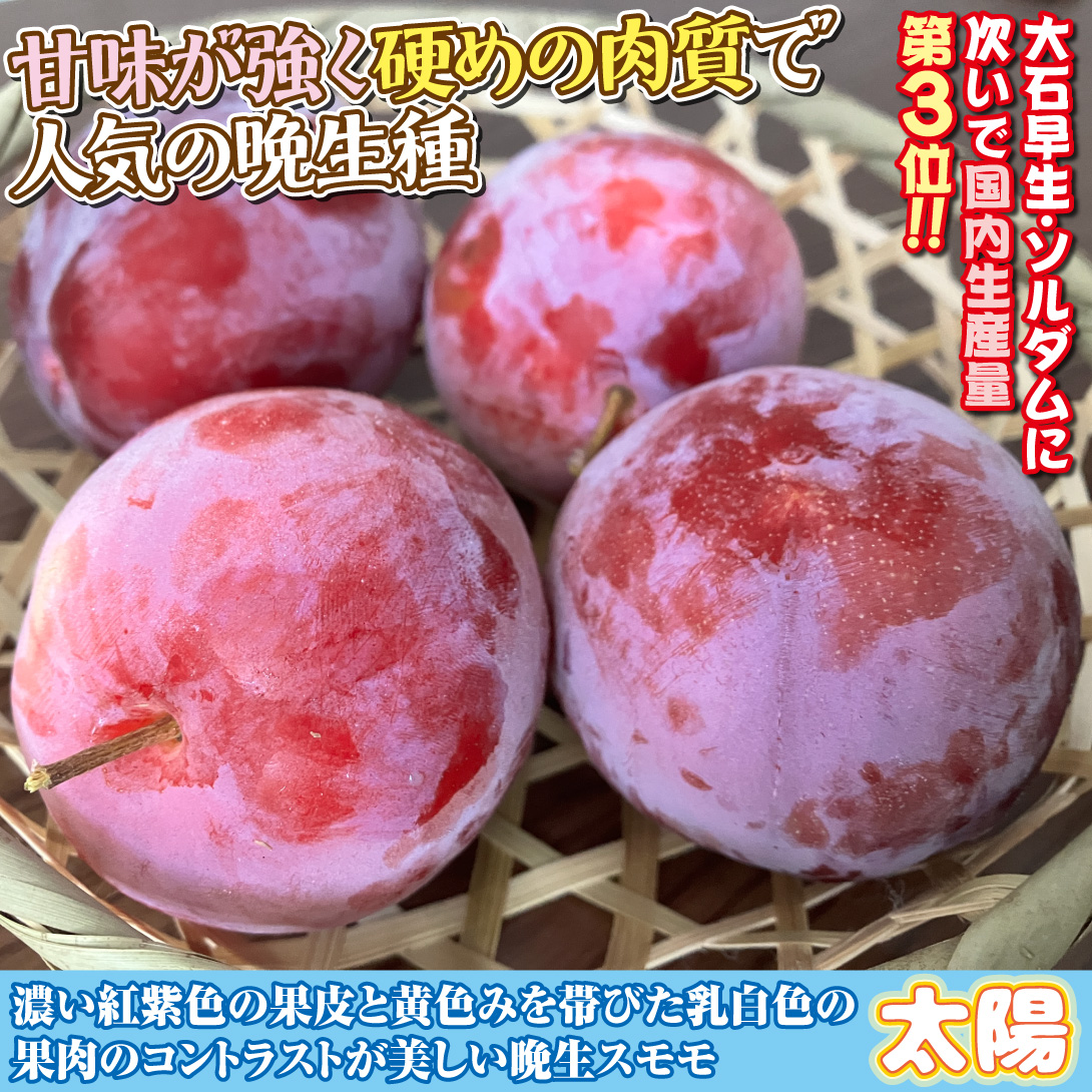 太陽